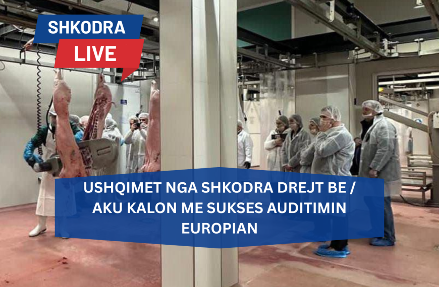 Dritë jeshile për eksportimin e ushqimeve nga Shkodra…