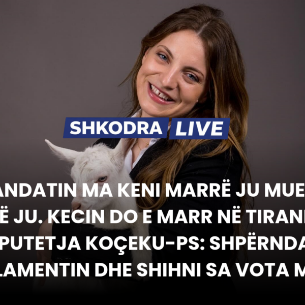 “Mandatin ma keni marrë ju mue, jo unë ju. Kecin&hellip;