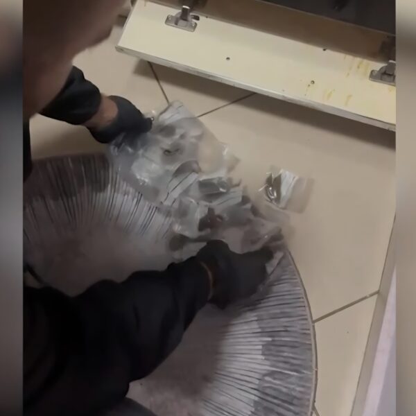 Kapet me lëndë narkotike 15 vjeçari në Shkodër / Tentoi&hellip;