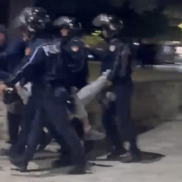 Policia e pashpirt / Kap si kafshë protestuesin me këmbën&hellip;